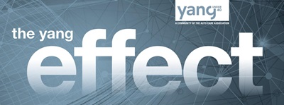 YANG Effect YANG Effect